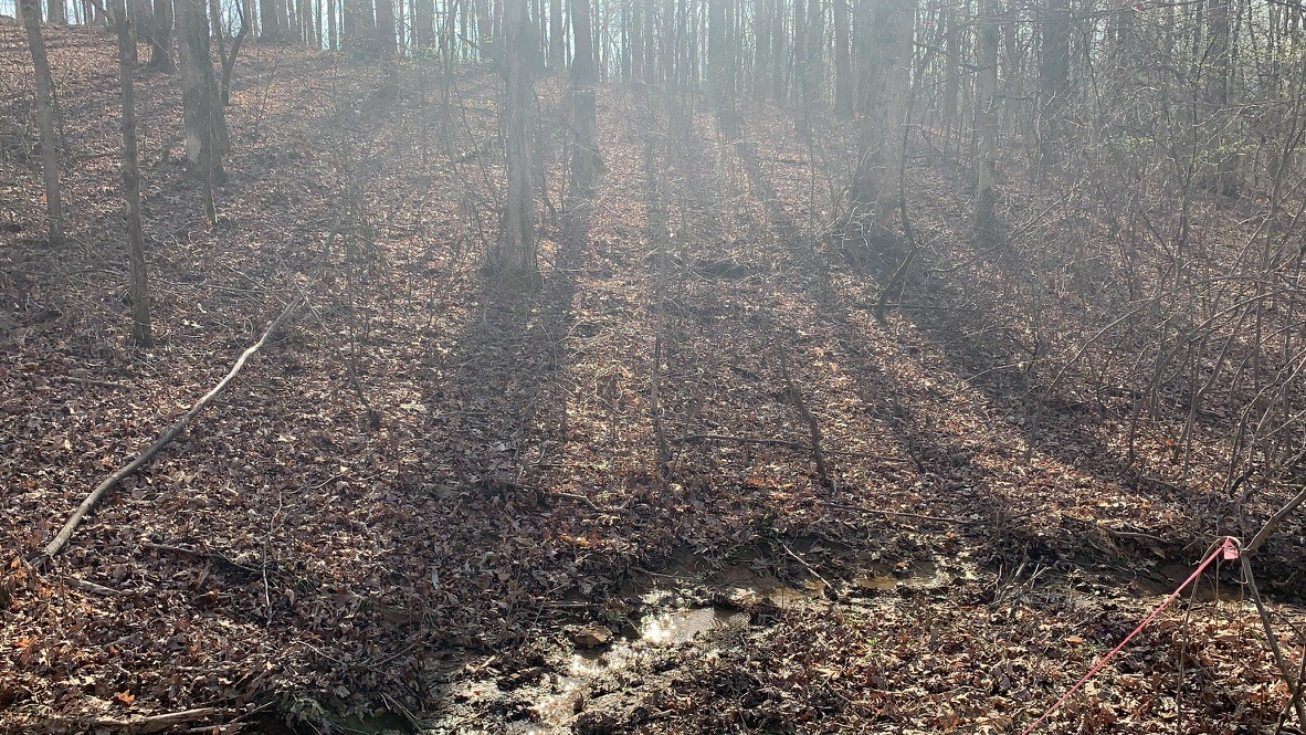 1385 Ridgewood Drive McEwen, TN 37101 - Photo 4 of 17 a view of a yard with plants and wooden fence