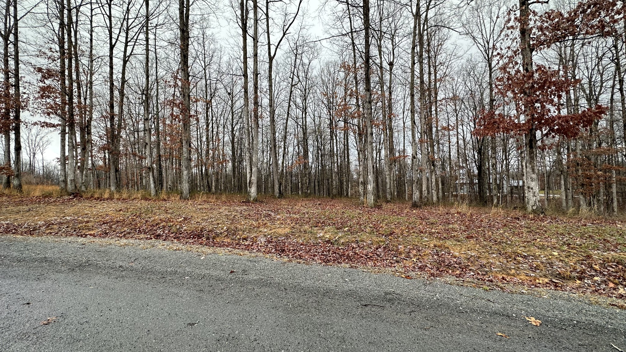 1385 Ridgewood Drive McEwen, TN 37101 - Photo 7 of 17 a view of outdoor space with trees