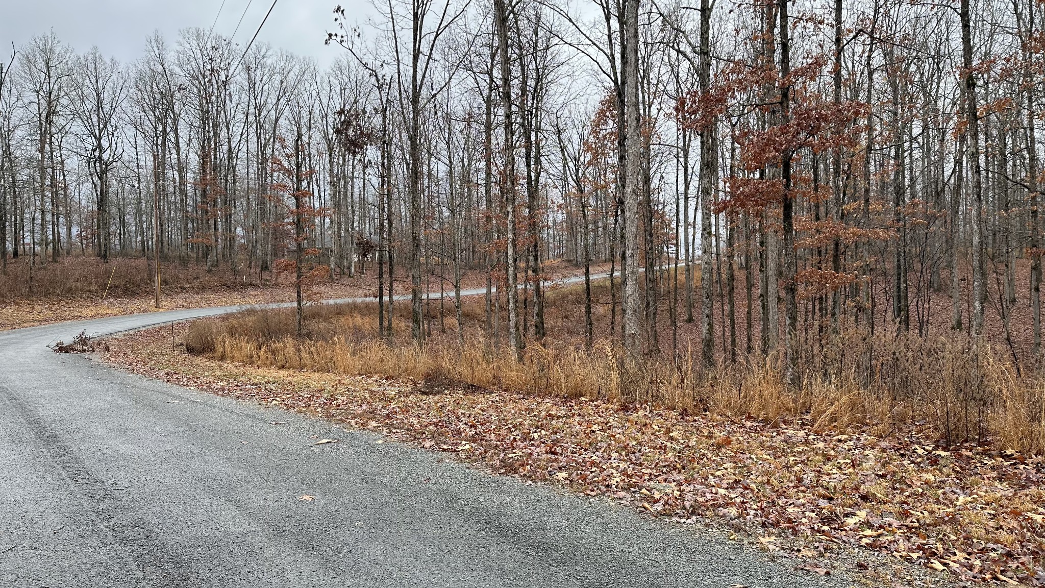 1385 Ridgewood Drive McEwen, TN 37101 - Photo 8 of 17