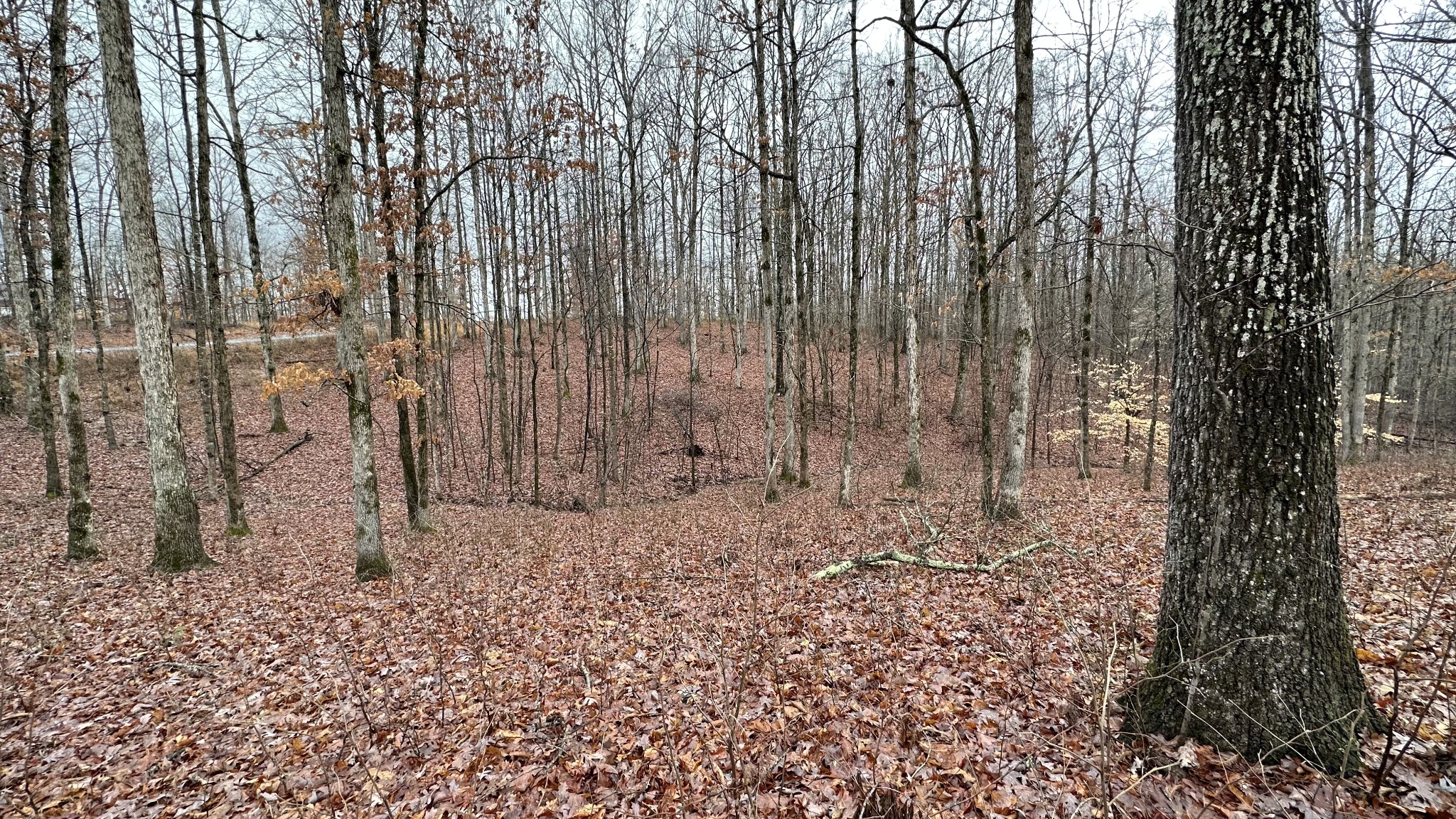 1385 Ridgewood Drive McEwen, TN 37101 - Photo 9 of 17 a view of small space