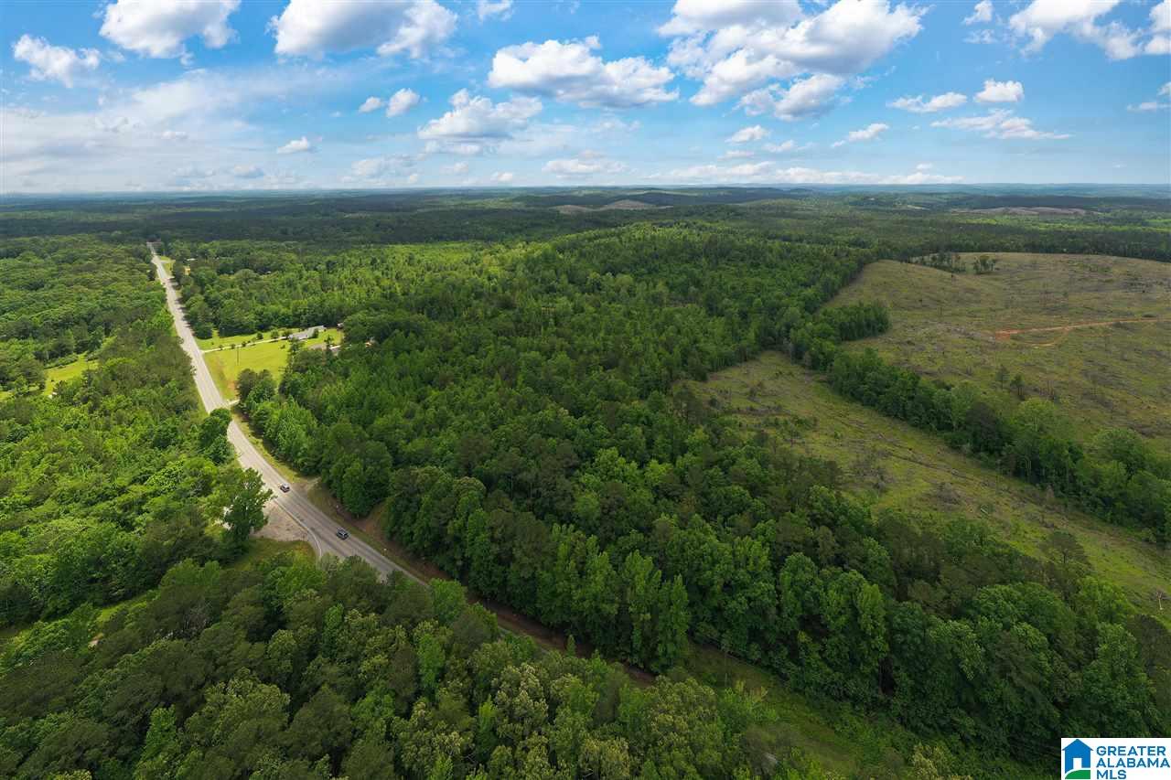 5936 Montevallo Road Centreville, AL 35042 - Photo 11 of 35