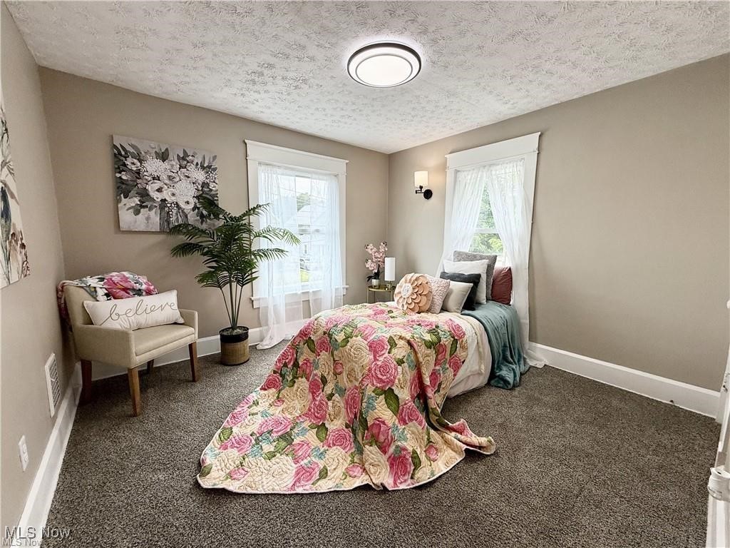281 Sexton Street Struthers, OH 44471 - Photo 17 of 28 Carpeted bedroom featuring a textured ceiling and multiple windows