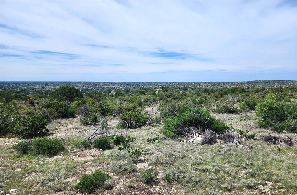 Tbd Tbd Peck Road Comstock, TX 78837 - Photo 2 of 21