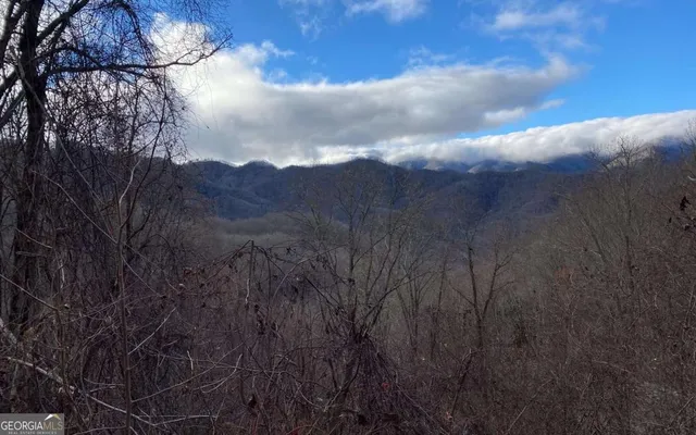 $100,000 | J-4 J-4 Buck Naked, Bryson City, NC 28713