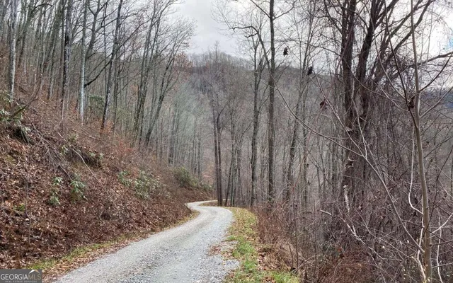 $100,000 | J-4 J-4 Buck Naked, Bryson City, NC 28713
