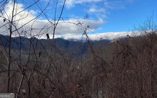 $100,000 | J-4 J-4 Buck Naked, Bryson City, NC 28713