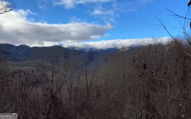 $100,000 | J-4 J-4 Buck Naked, Bryson City, NC 28713