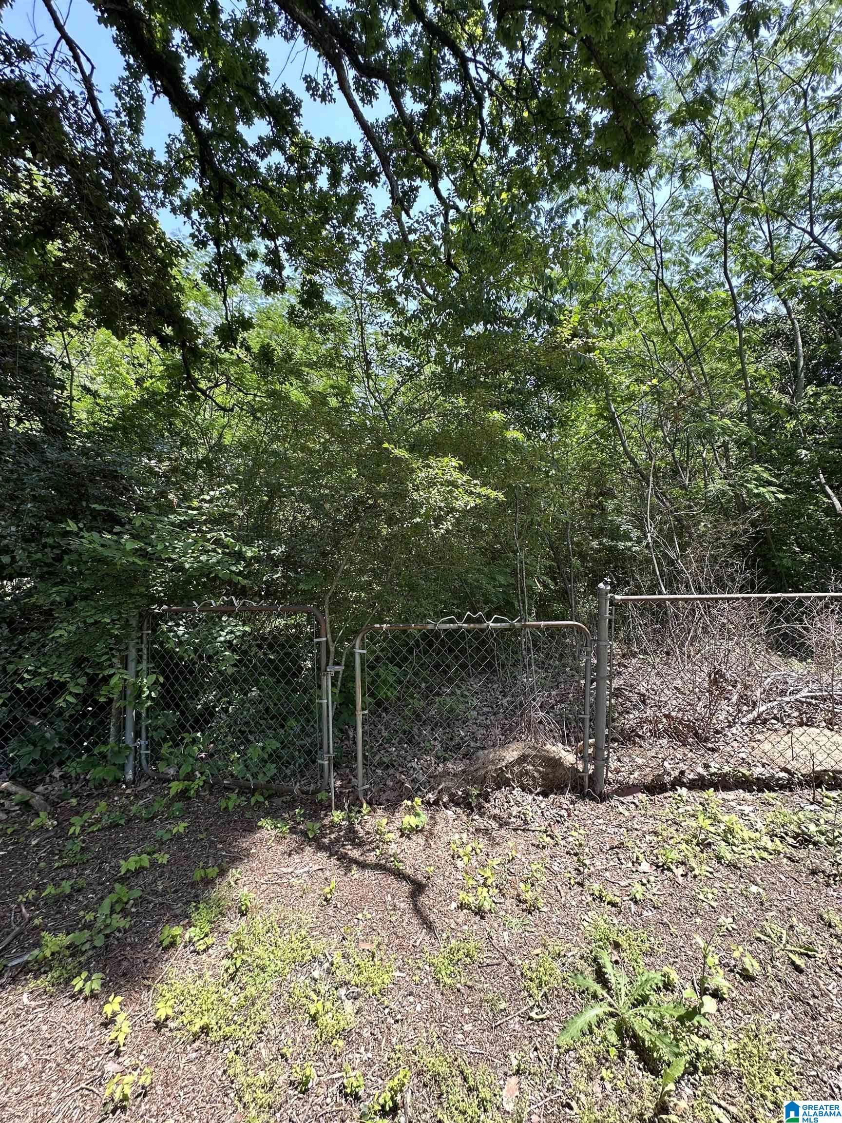 2716 Mary Taylor Road Birmingham, AL 35210 - Photo 4 of 10