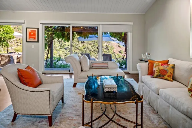 a living room with furniture and a potted plant