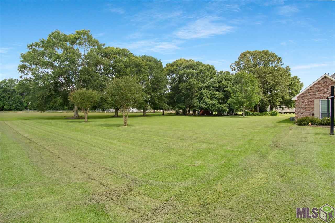 23255 Leader Road Maurepas, LA 70449 - Photo 4 of 23