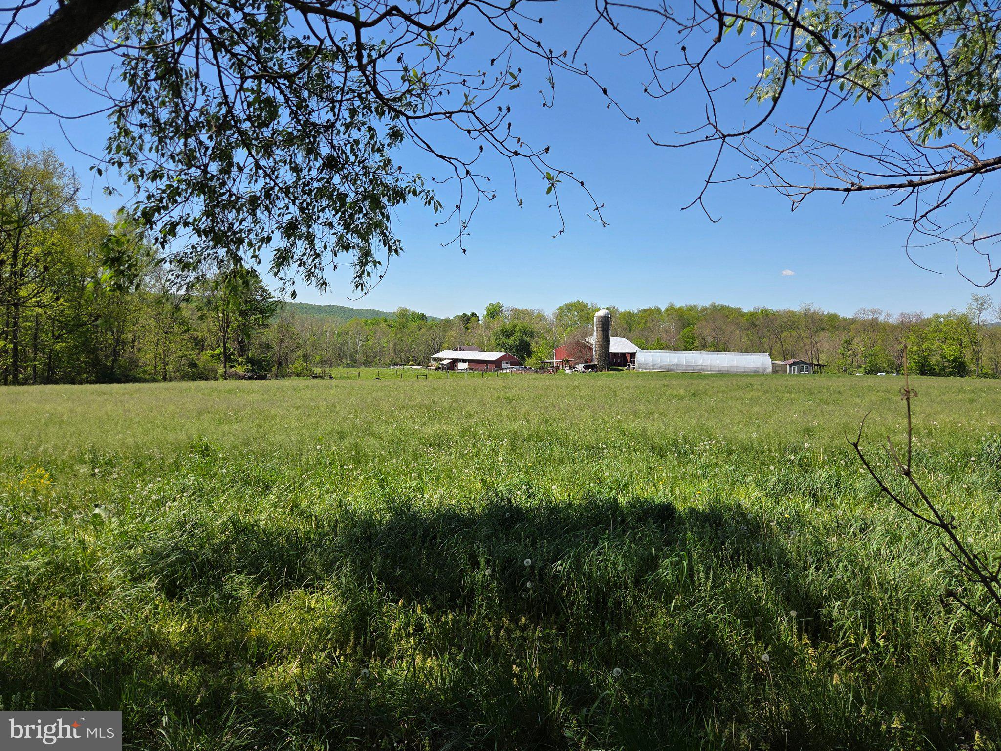 1010 Adams Grove Road Blain, PA 17006 - Photo 75 of 92 Serene countryside farm vista.