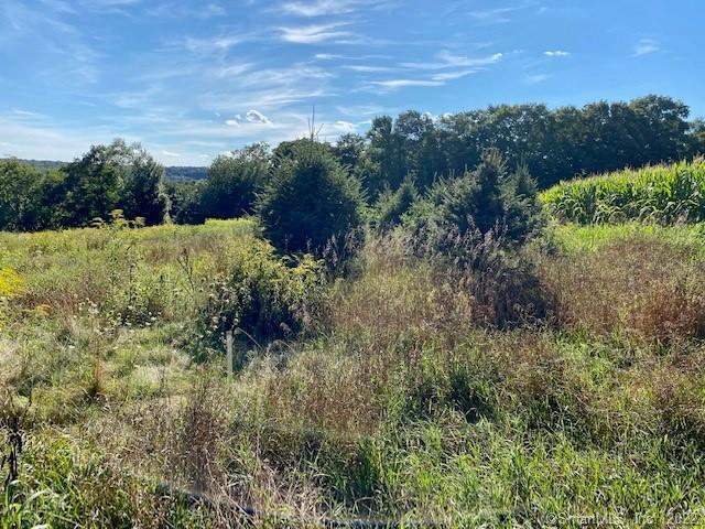302 Gager Hill Road Windham, CT 06280 - Photo 1 of 1