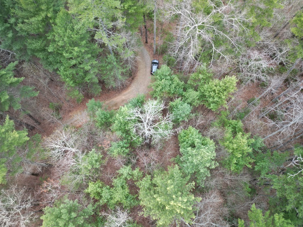 Tbb Grape Creek Road Murphy, NC 28906 - Photo 6 of 7