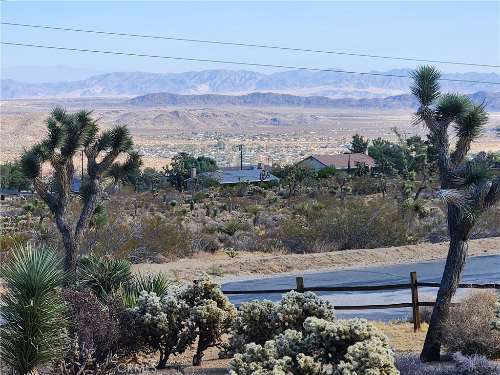 60383 Melton Trail Joshua Tree, CA 92252 - Photo 43 of 72 a view of a yard with a mountain
