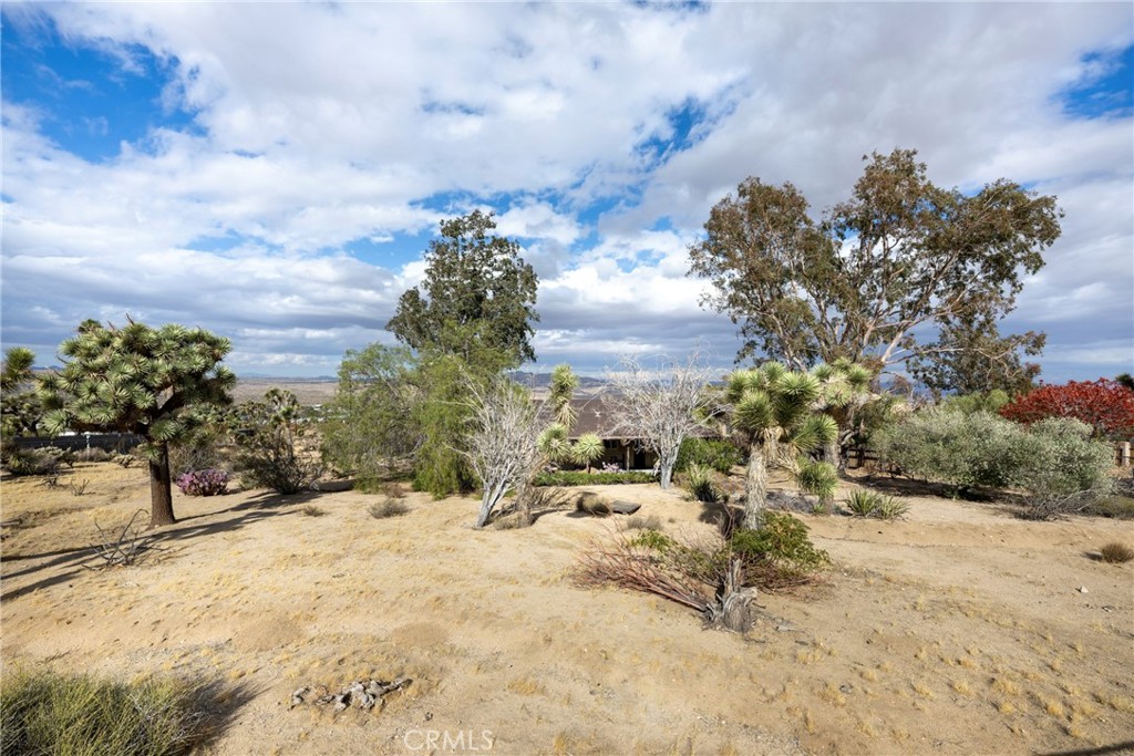 60383 Melton Trail Joshua Tree, CA 92252 - Photo 60 of 72