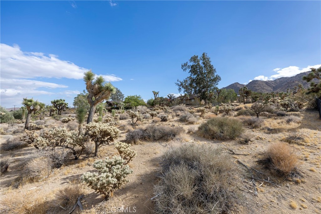 60383 Melton Trail Joshua Tree, CA 92252 - Photo 10 of 72