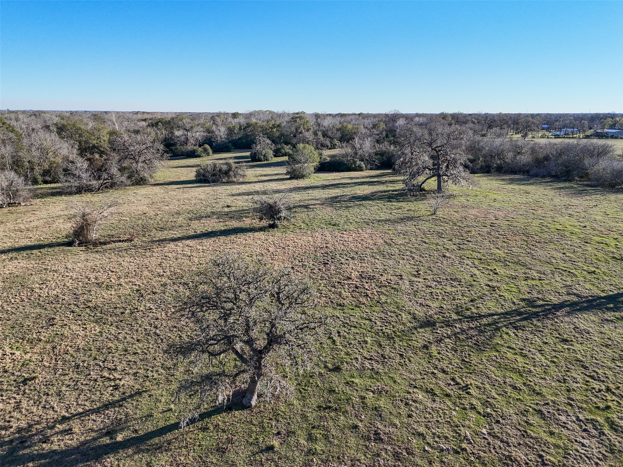 0 Jozwiack Prairie View Prairie View, TX 77445 - Photo 4 of 8 a view of a field with an outdoor space