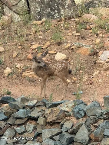 a backyard of a house with a yard and outdoor seating