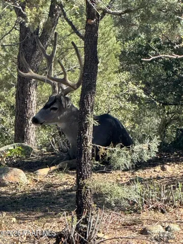 $507,500 | 1716 Alpine Meadows Lane, Unit 305, Prescott, AZ 86303