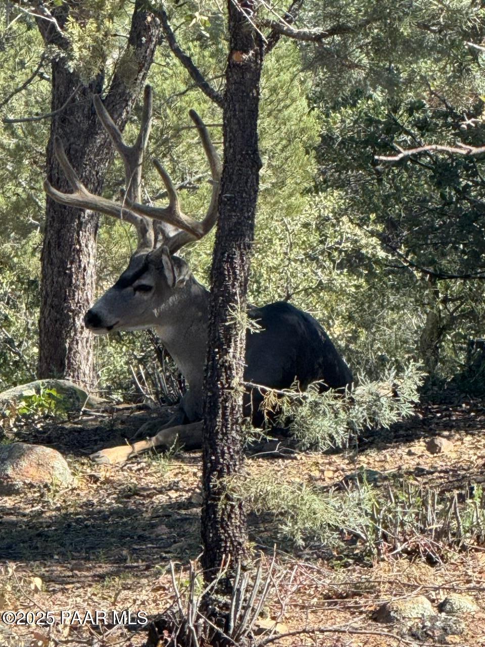 1716 Alpine Meadows Lane, Unit 305 Prescott, AZ 86303 - Photo 48 of 49 a backyard of a house with a yard and outdoor seating