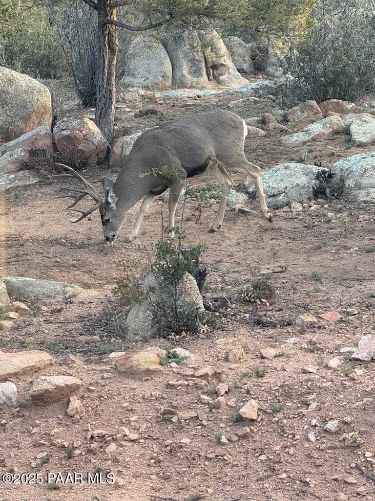 1716 Alpine Meadows Lane, Unit 305 Prescott, AZ 86303 - Photo 49 of 49 a view of a dry yard with wooden fence