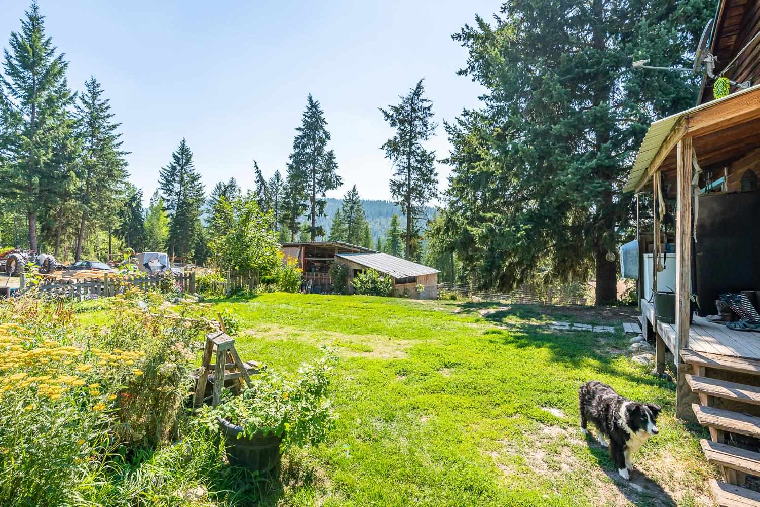 1458 Queen Of Sheba Road Colville, WA 99114 - Photo 19 of 43 Gallery Image 19