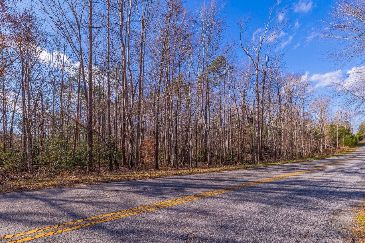 225 Frontier Road Enoree, SC 29335 - Photo 3 of 16