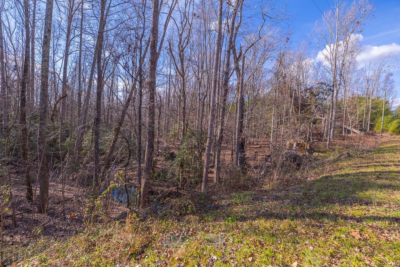 225 Frontier Road Enoree, SC 29335 - Photo 9 of 16