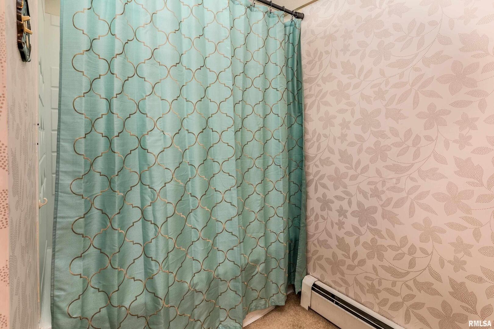 2120 Logan Street Murphysboro, IL 62966 - Photo 20 of 30 a bathroom with a white shower curtain