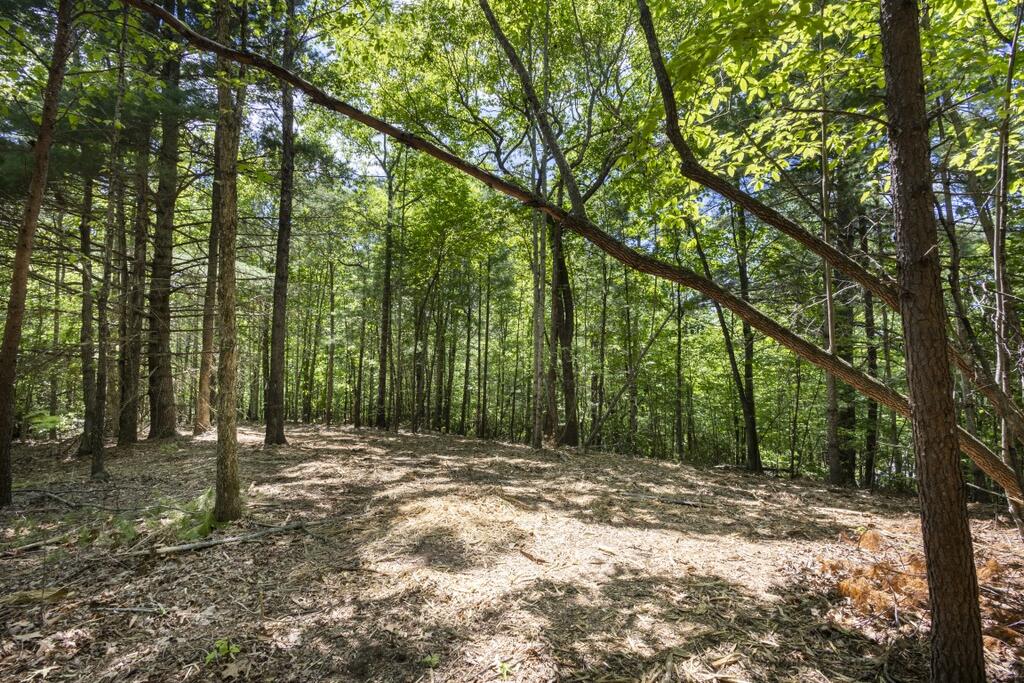 34-ac Donley Road Murphy, NC 28906 - Photo 26 of 37 Gallery Image 26