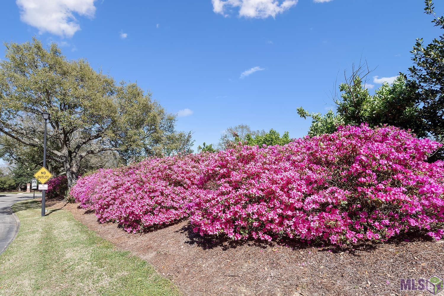 19427 Point O' Woods Court Baton Rouge, LA 70809 - Photo 46 of 50