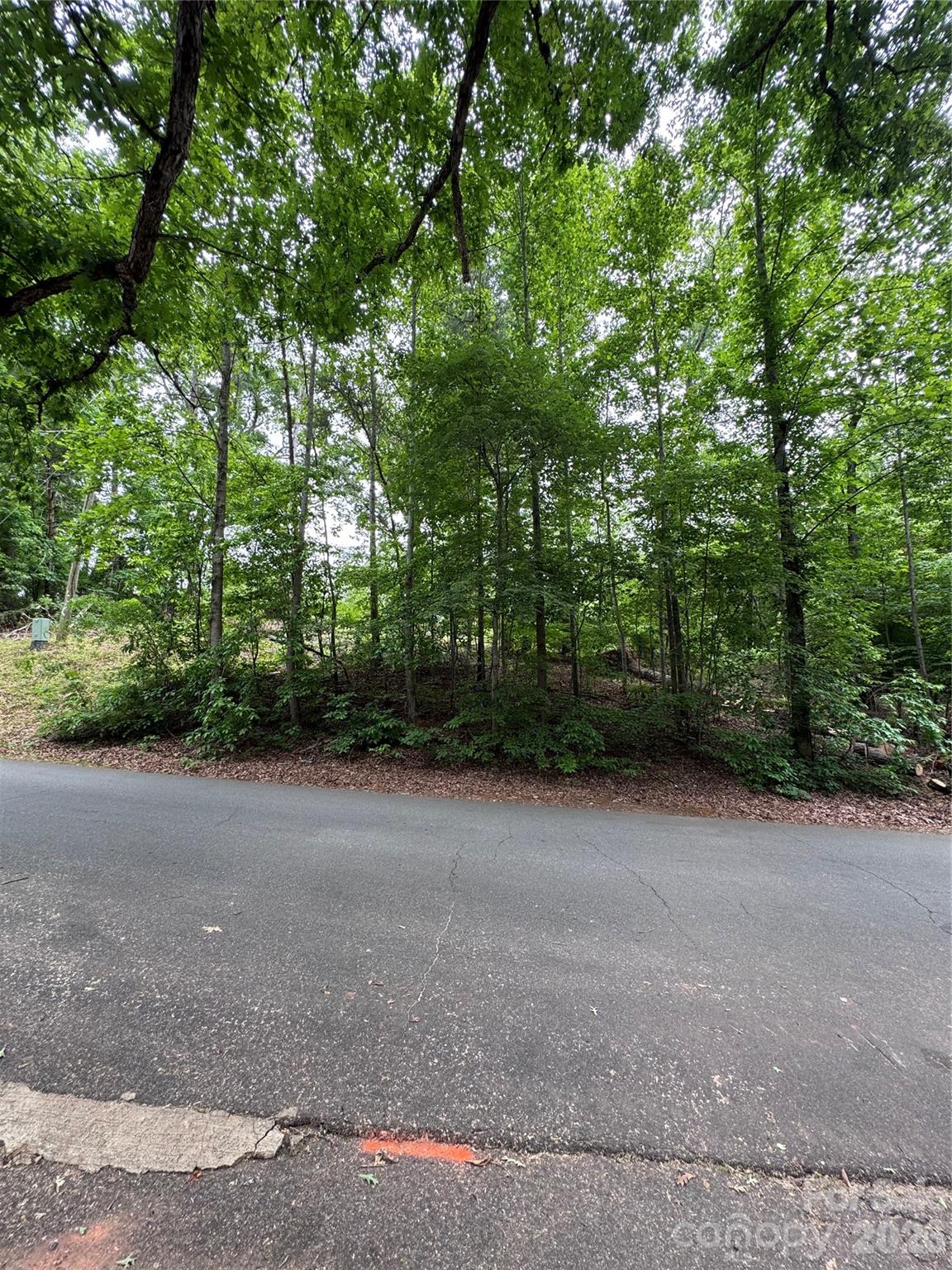 136 St John Zion Road Rutherfordton, NC 28139 - Photo 26 of 29 a view of a field with trees in the background