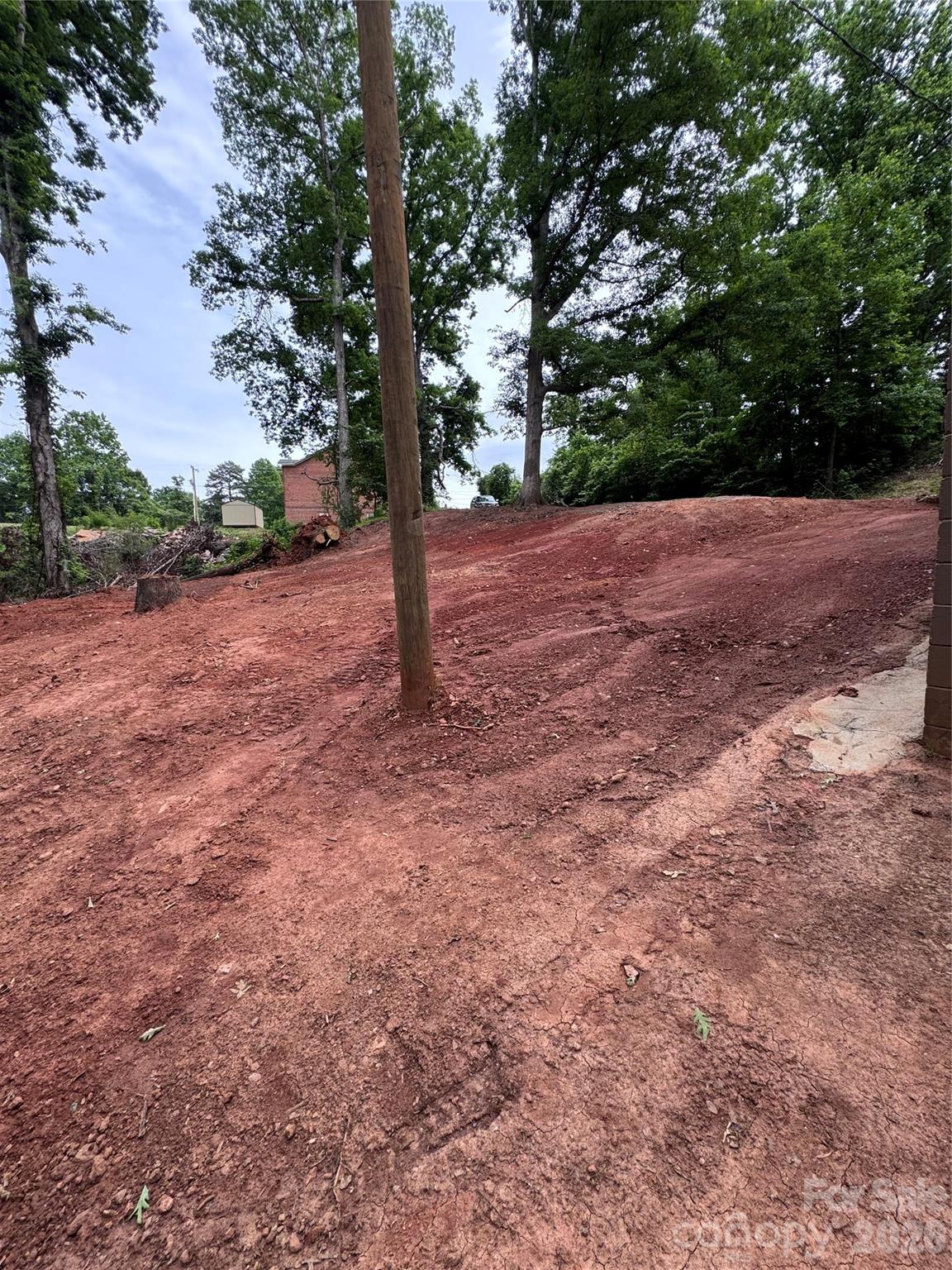 136 St John Zion Road Rutherfordton, NC 28139 - Photo 27 of 29 a view of a yard with plants and trees