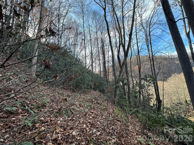 $25,000 | 0 Rock House Cove Road, Unit 2, Clyde, NC 28721