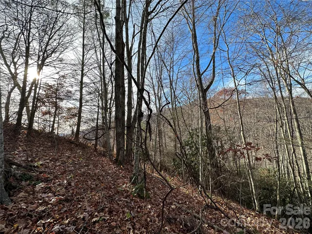 $25,000 | 0 Rock House Cove Road, Unit 2, Clyde, NC 28721