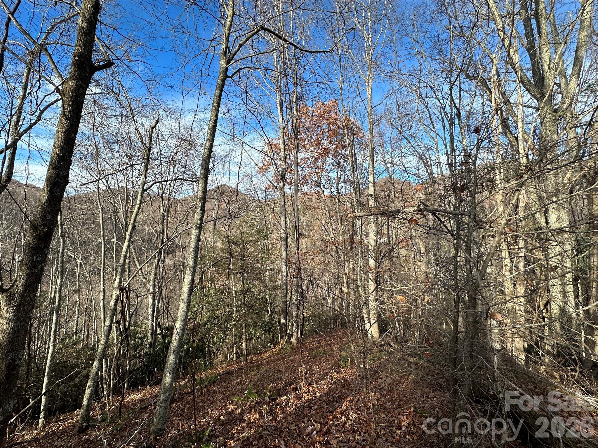 0 Rock House Cove Road, Unit 2 Clyde, NC 28721 - Photo 6 of 9 a view of a yard