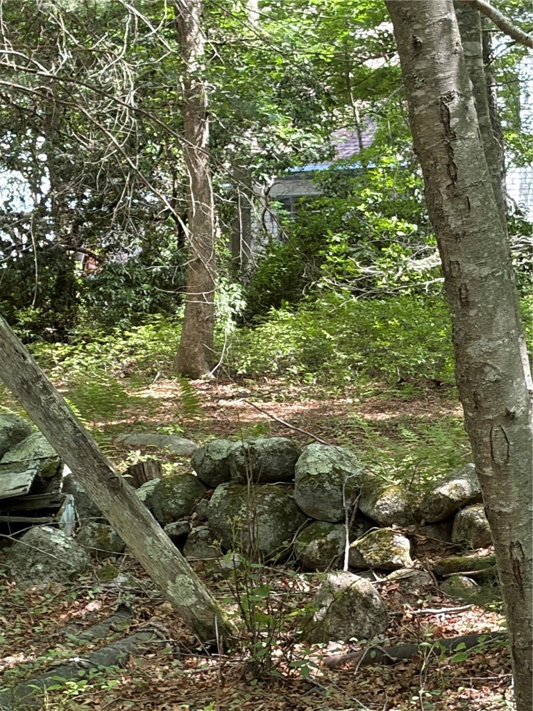 0 Lawton Foster Road South Hopkinton, RI 02833 - Photo 14 of 19