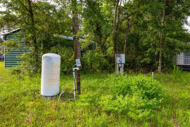 a backyard of a house with lots of green space and plants
