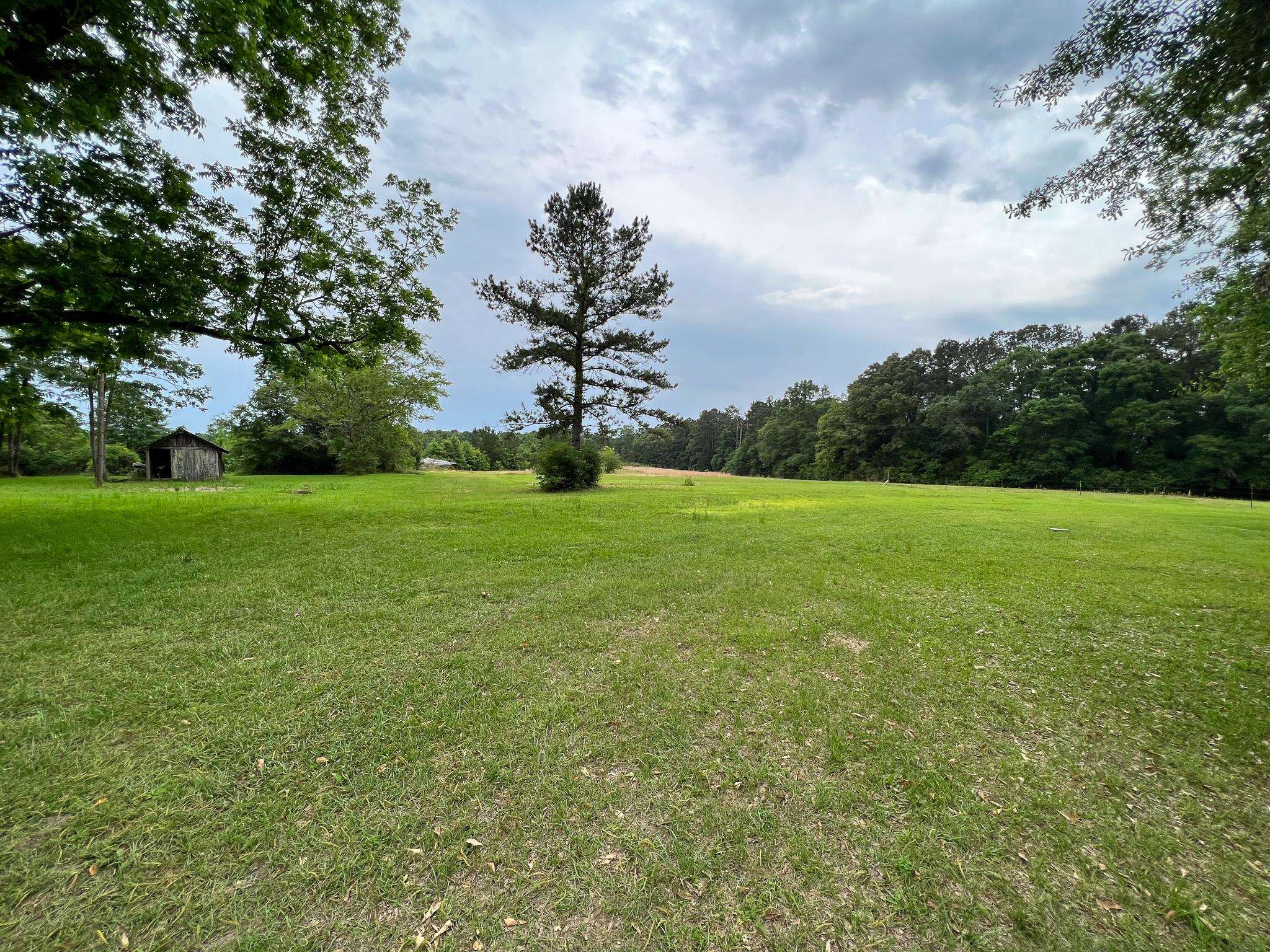 7686 Ard Creek Road Red Level, AL 36474 - Photo 15 of 18 Gallery Image 15