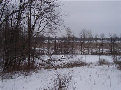 6575 Stevens Road Delton, MI 49046 - Photo 4 of 11 Additional Photo