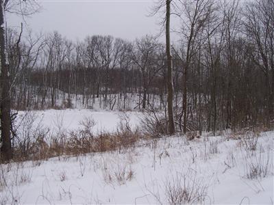 6575 Stevens Road Delton, MI 49046 - Photo 7 of 11 Additional Photo