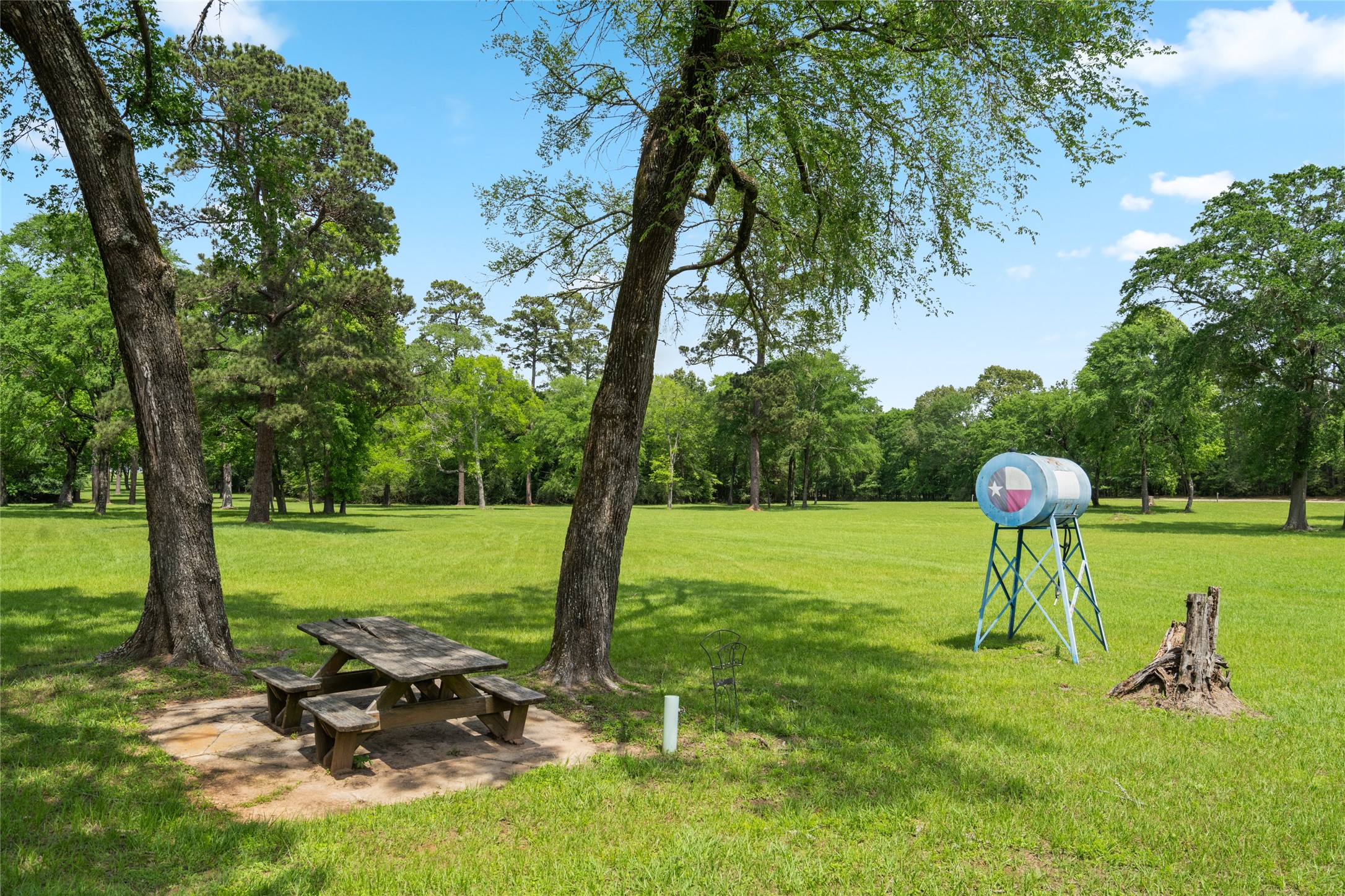 15126 Walden Road Montgomery, TX 77356 - Photo 14 of 50 Expansive acreage punctuated by towering mature trees and vast open fields.