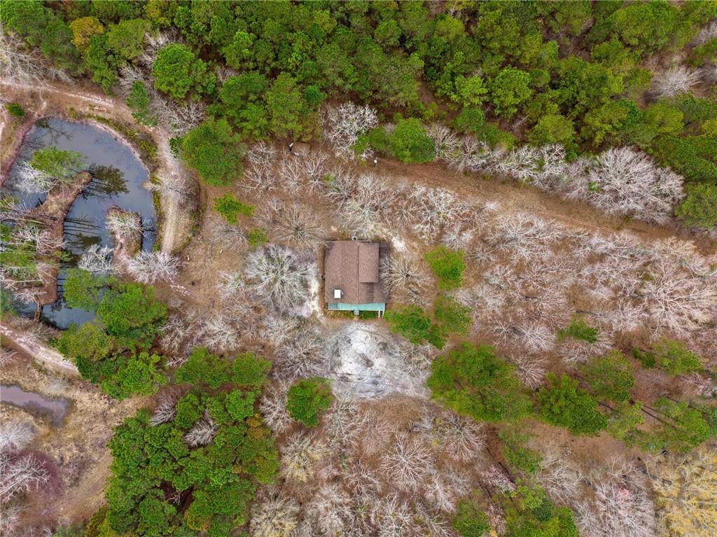 250 Lee Paul Road Hawkinsville, GA 31036 - Photo 40 of 48