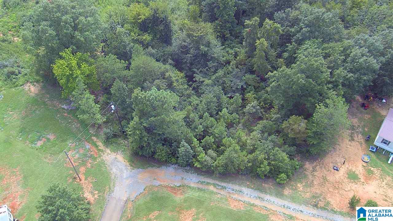 0 Greenfield Road Pell City, AL 35128 - Photo 2 of 3