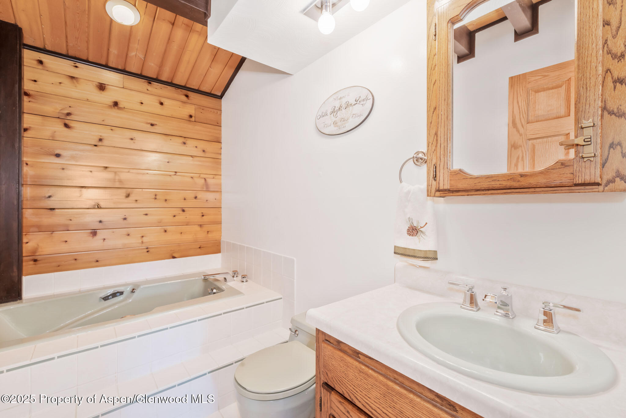922 Steele Court Craig, CO 81625 - Photo 43 of 115 a bathroom with a sink a toilet and shower