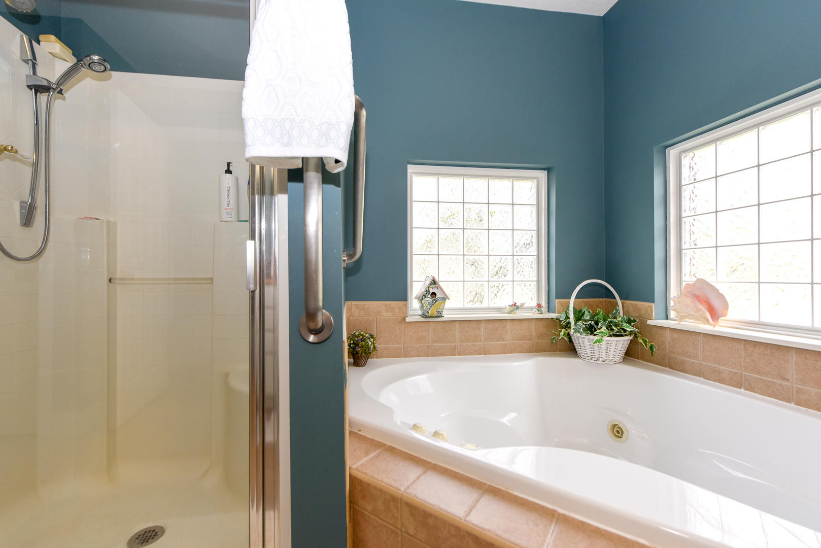 562 West Hunt Road Alcoa, TN 37701 - Photo 17 of 23 SHOWER NEXT TO WHIRLPOOL TUB