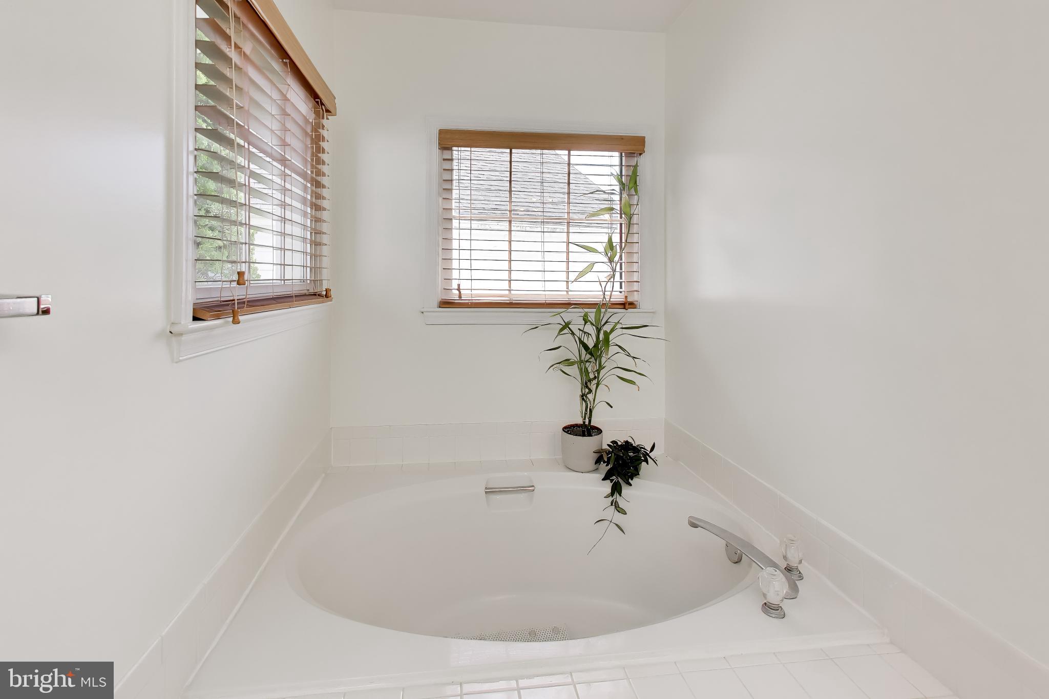 2421 Pondside Terrace Silver Spring, MD 20906 - Photo 20 of 44 Soaking tub