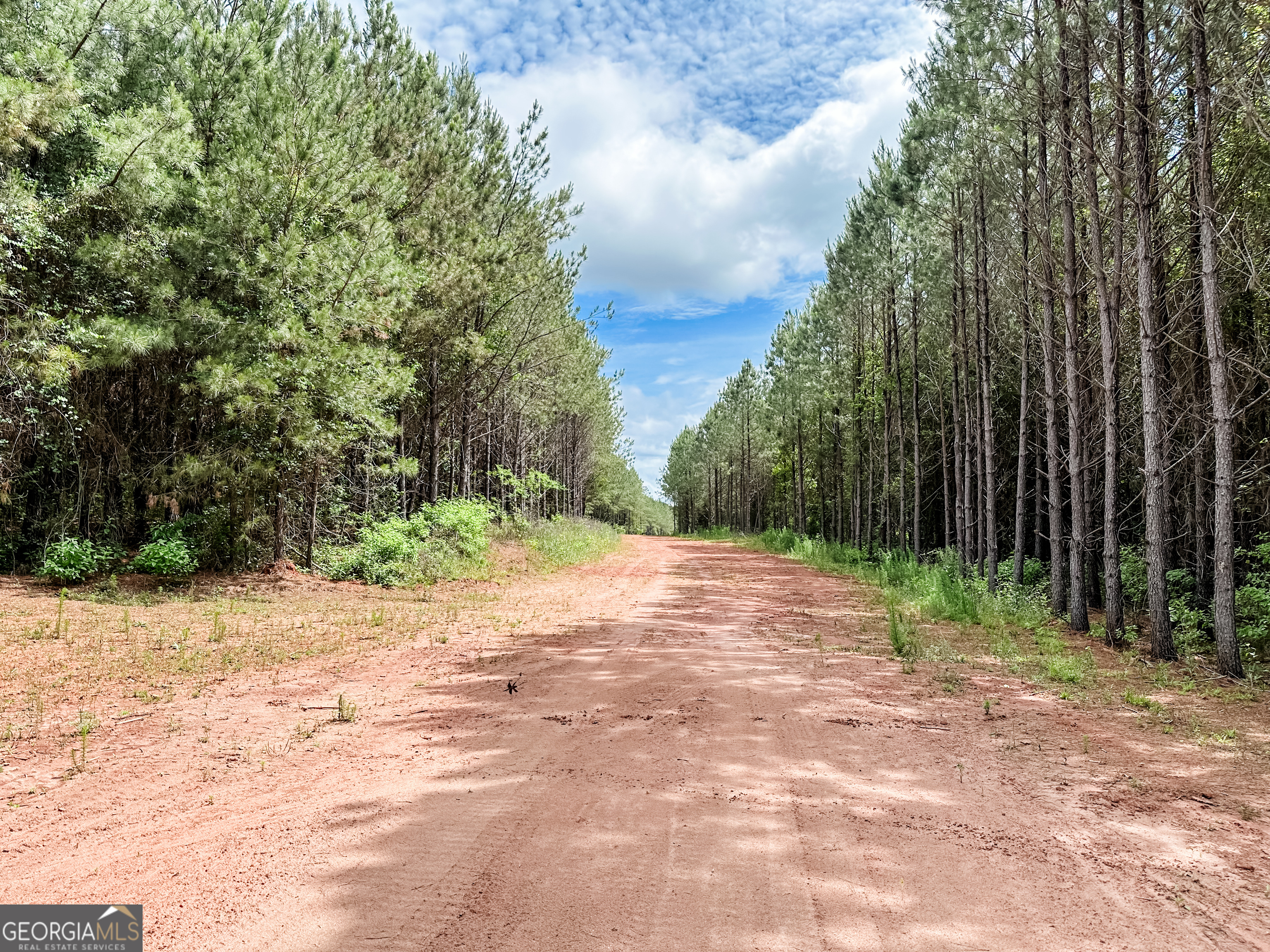 52.4-acres Goolsby Road, Unit 52 4 ACRES Monticello, GA 31064 - Photo 8 of 25
