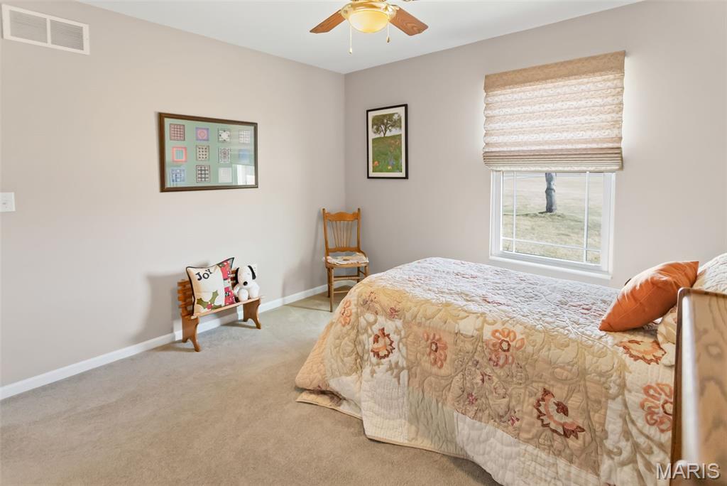 6611 Quercus Grove Road Edwardsville, IL 62025 - Photo 49 of 94 Gallery Image 49