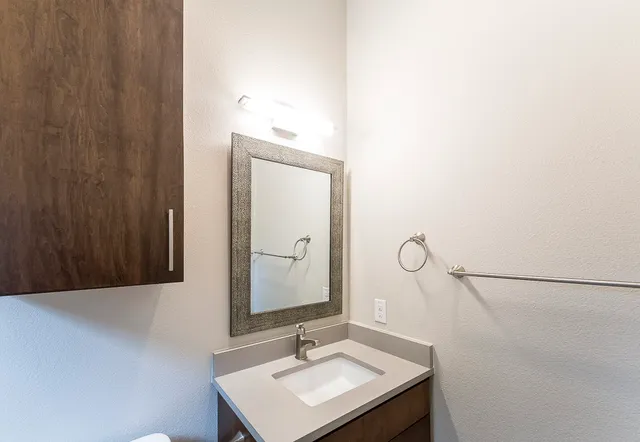 a bathroom with a sink and a mirror